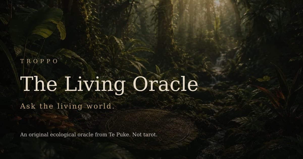 The Living Oracle — Ask the living world. An original ecological oracle from Te Puke. Not tarot.